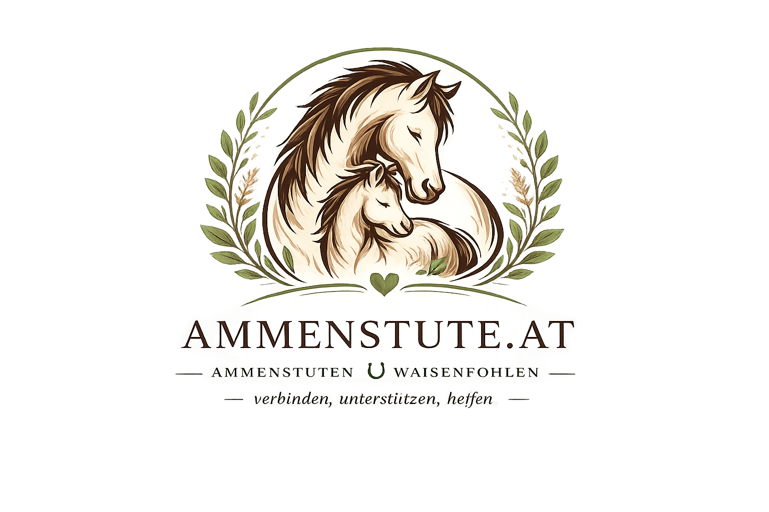 Ammenstute.at